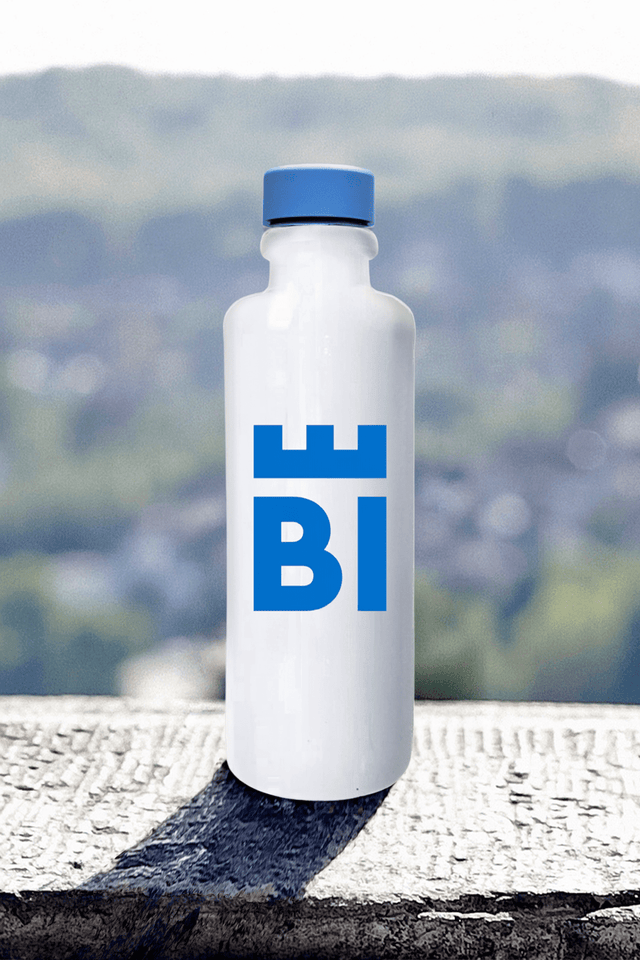 Bielefeld Dry Gin Edition Himmelblau - Gin - Gin Lossie & RÜBE Onlineshop