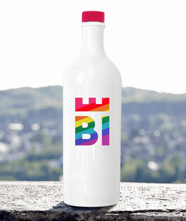 Bielefeld Dry Gin Edition Rainbow - Gin - Gin Lossie & RÜBE Onlineshop